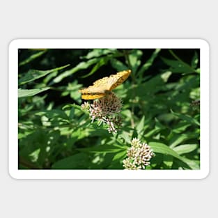 Butterfly On Water Hemp Magnet